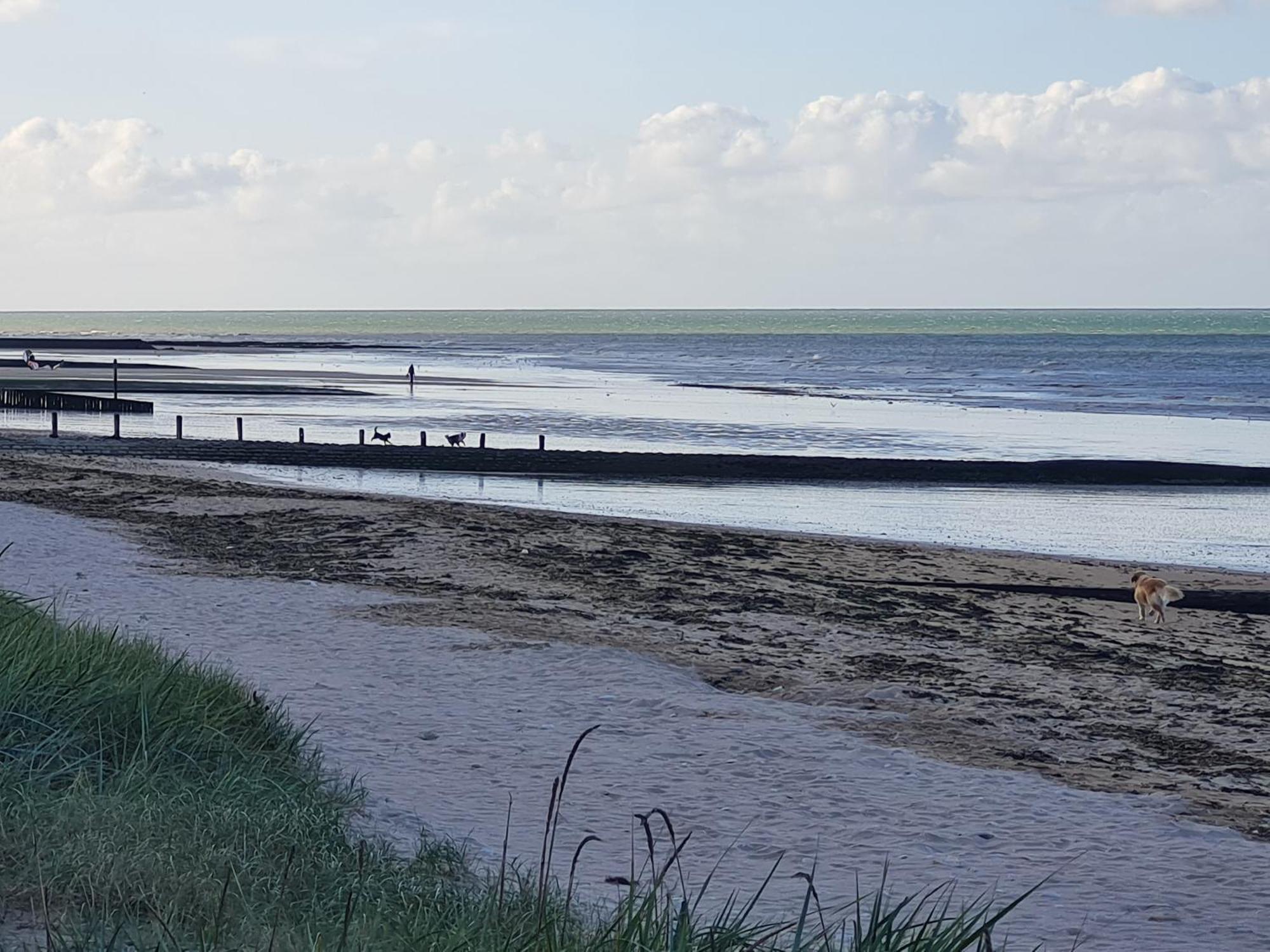 Les Pieds Dans L'Eau - Acces Direct A La Plage Bernieres-sur-Mer Exterior photo